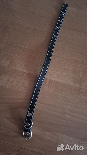 Ошейник и шлейка