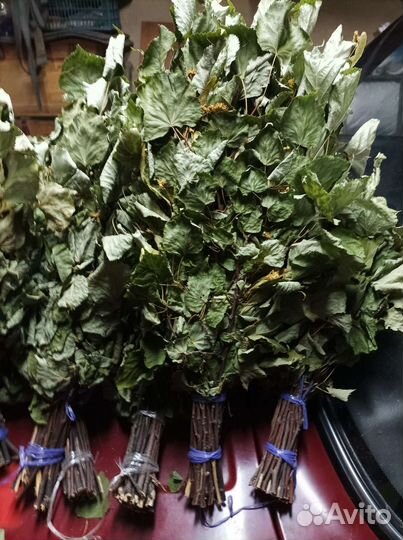 Веники дуб берёза клен осина рябина