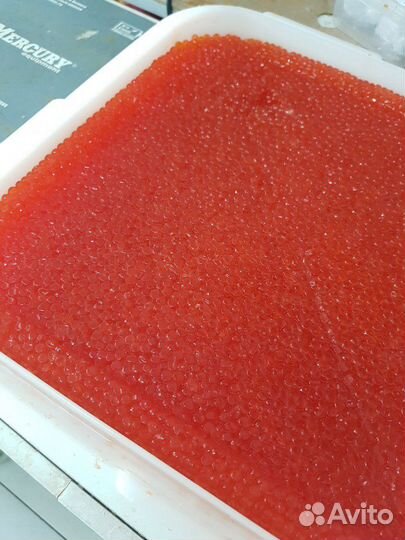 Икра красная: кеты, горбуши и нерки