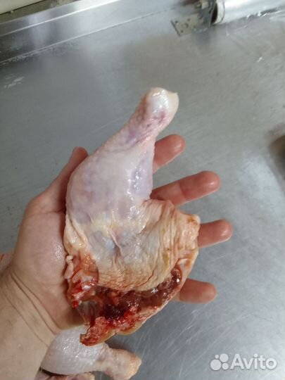 Окорочка куриные, мясо, курица