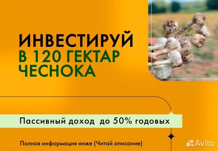 Инвестиции в готовый бизнес, ищу партнера