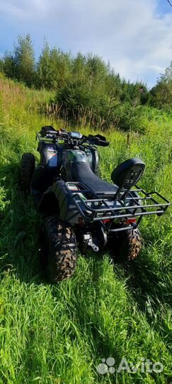 Motax grizlik 200 lux 2024