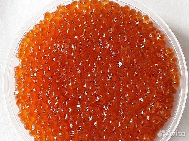 Икра кеты отп от 13кг