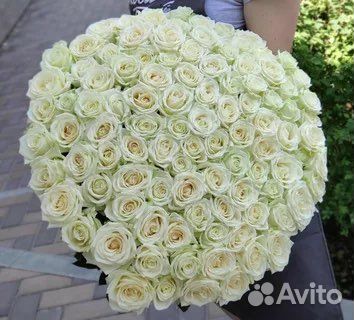 Розы 101 штука 60 см