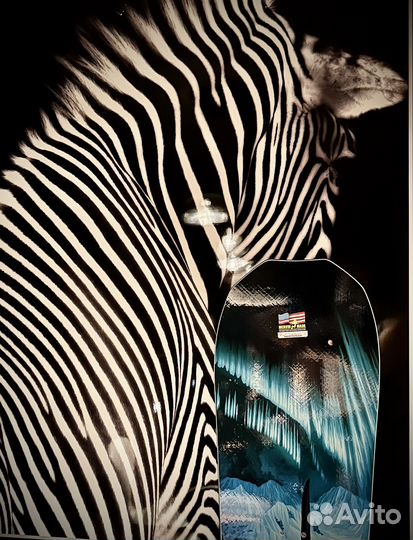 Сноуборд Lib Tech Orca 147, 156, 162 2024