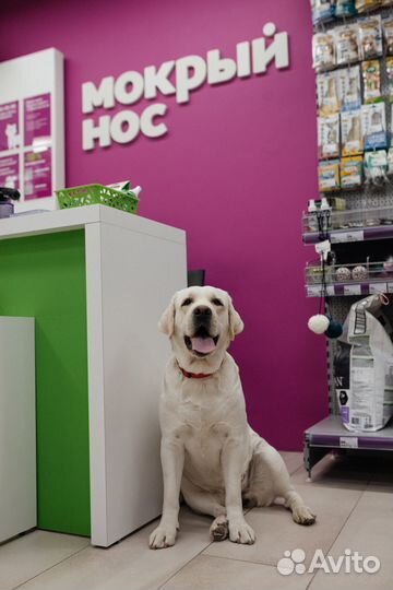 Продавец консультант