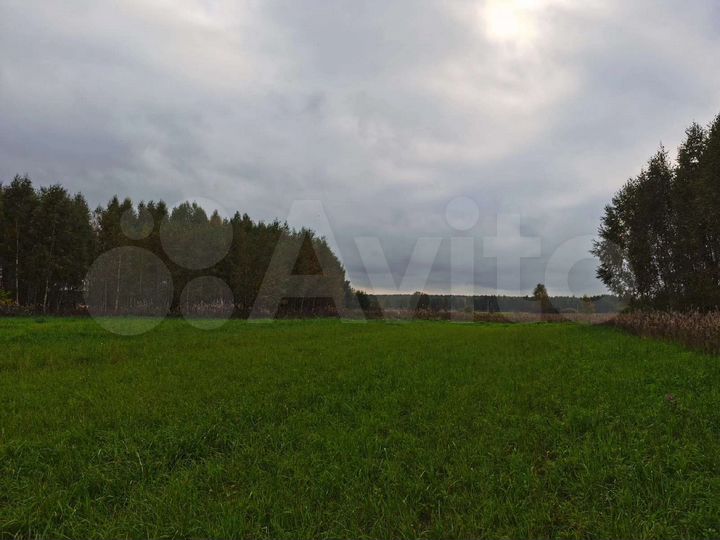 Участок 24 сот. (ИЖС)