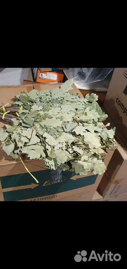 Веники для бани