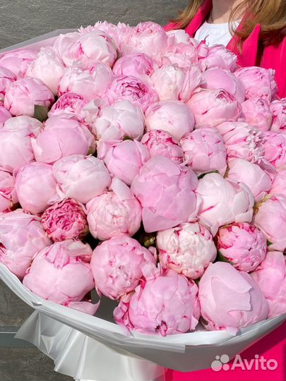 Букет пионы премиум 25 51 101 доставка