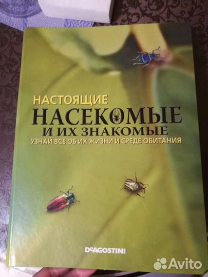 Журнал про насекомых