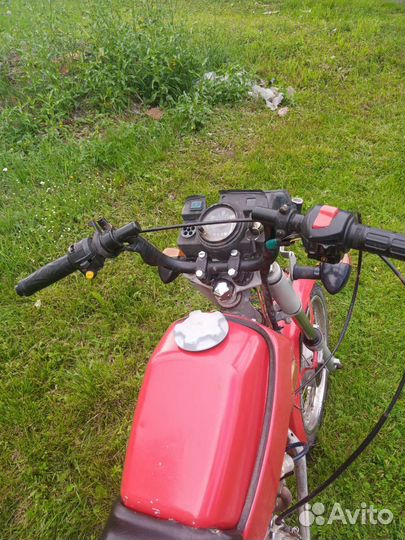 Зид пилот 50