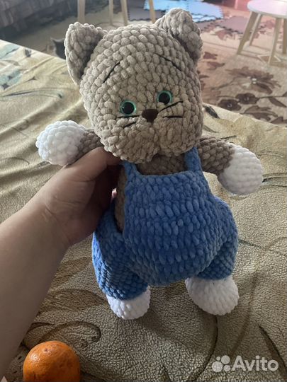 Кот Тимошка