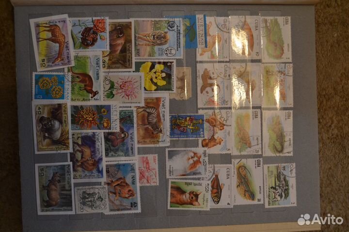 Альбом с марками
