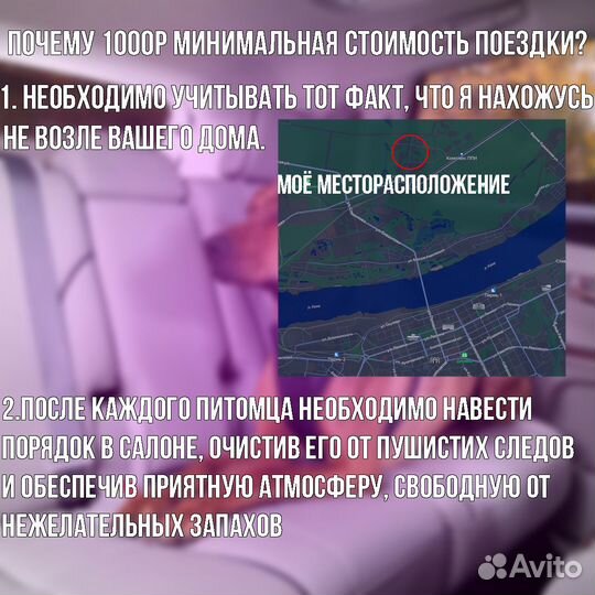 Перевозка животных по Перми