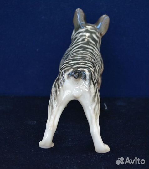 Фарфоровая статуэтка- французский бульдог.ифз