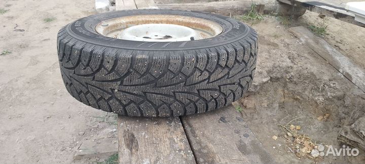 Продаю зимних рейзини