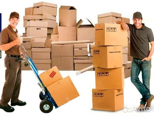 Грузчик ежедневная оплата