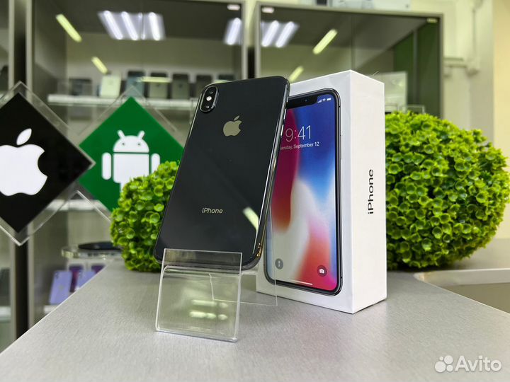 iPhone X, 256 ГБ