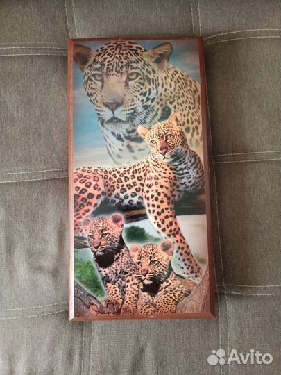 Шашки + нарды 2в1