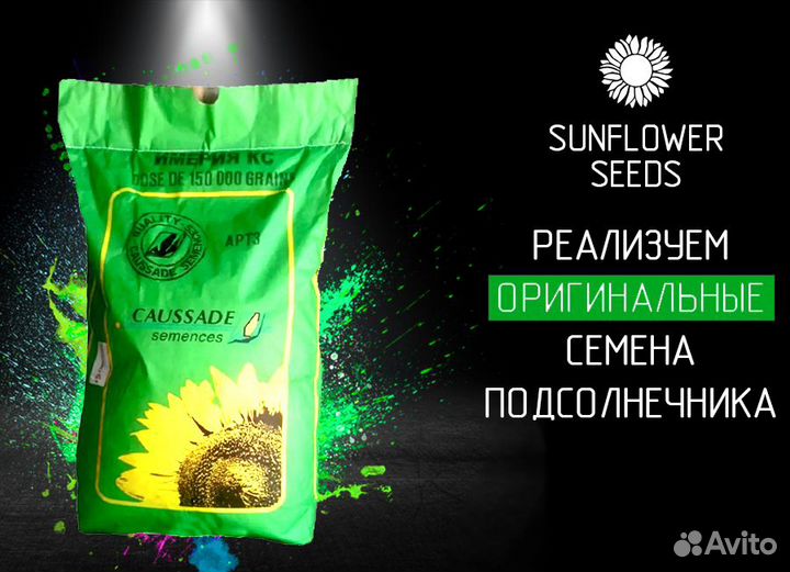 Семена подсолнечника Коссад семанс (Caussade)