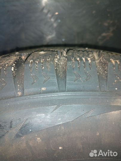 Ford fusion Pirelli Formula Ice 195/65 R15