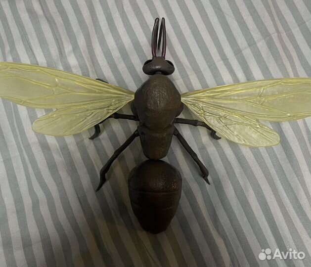 Человек муравей