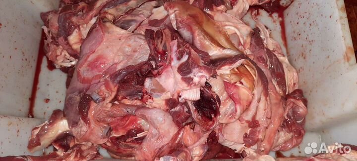 Мясо говядина на корм для животных