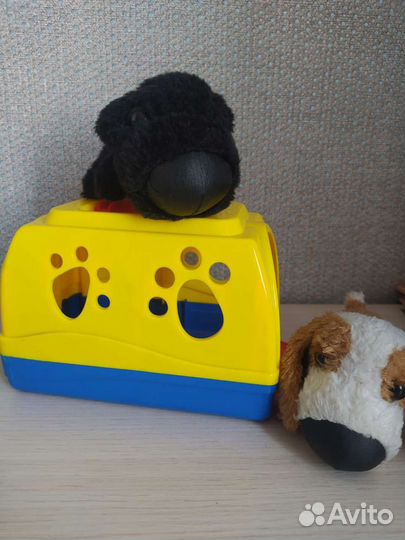 Собачки и переноска