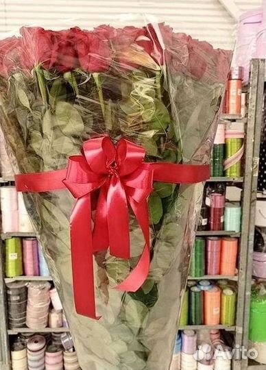 101 роза цветы букеты доставка 25 51 101 роза