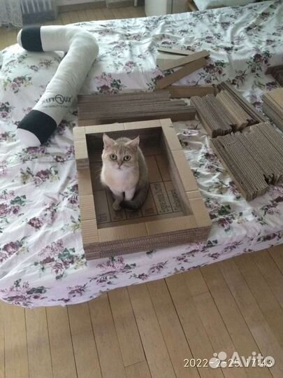 Домик когтеточка, Беговые колеса