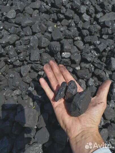 Уголь сспк от производителя
