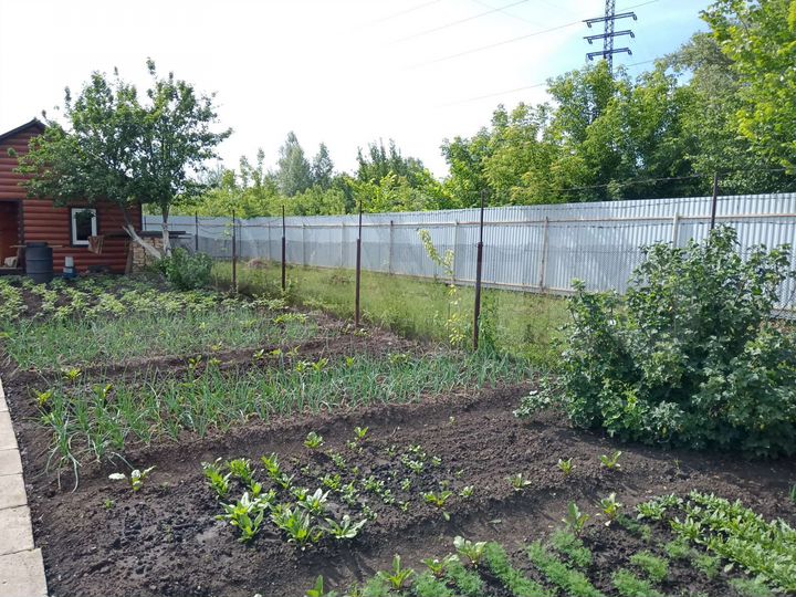 Дача 50 м² на участке 5 сот.