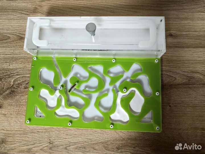 Формикарий, муравьиная ферма