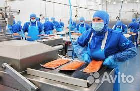 Обработчик морепродуктов