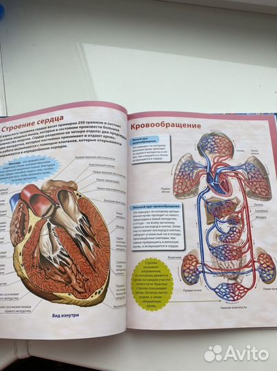 Книги для детей, сказки и энциклопедии