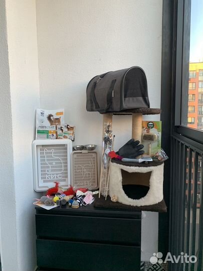 Домик для кошки, переноска, корм, лотки, игрушки