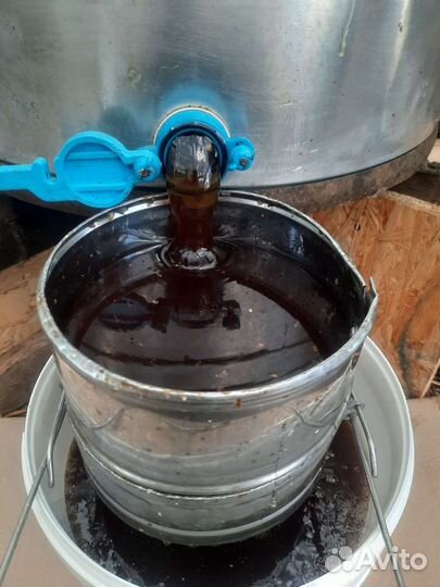 Натуральный мёд: Гречишный. Липовый. Донник