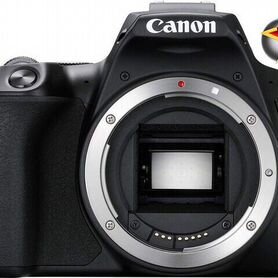 Фотоаппарат Canon EOS 250D Body Новый