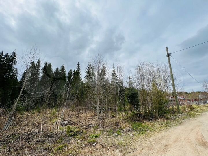 Участок 10,4 сот. (СНТ, ДНП)