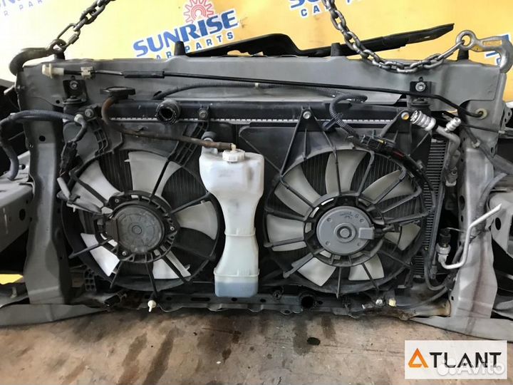 Nose cut honda FIT shuttle