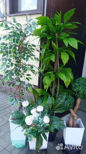 Искусственное деревья, цветочные композиции