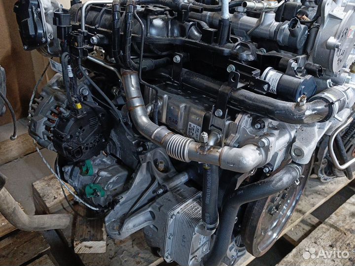 Двигатель Genesis G70 D4hc