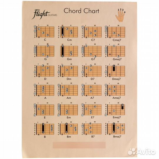 Классическая гитара Flight C-120 BK pack (аксессуары в компл)