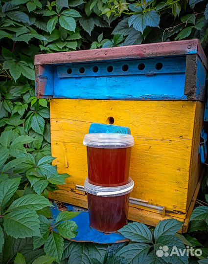 Мед высокогорный расфасованный