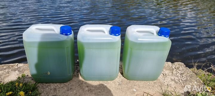 Хлорелла для водоемов