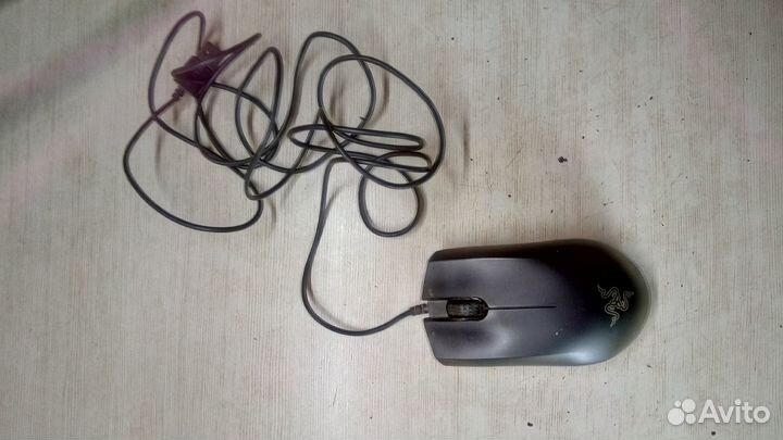 Компьютерная мышь
