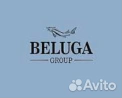 Кладовщик на алкогольный склад(Белуга)