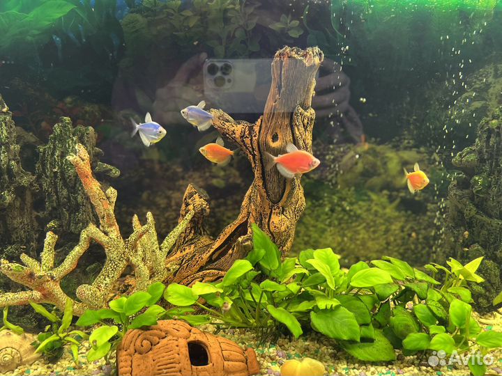 Аквариум с рыбками и тумбой