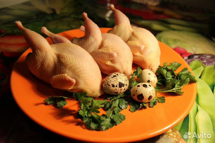 Перепела мясо