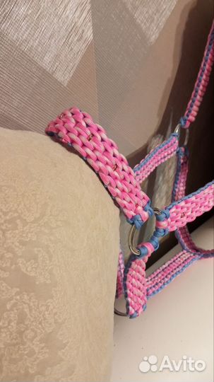 Амуниция для лошади, недоуздок